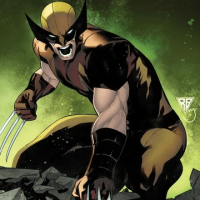 wolverine
